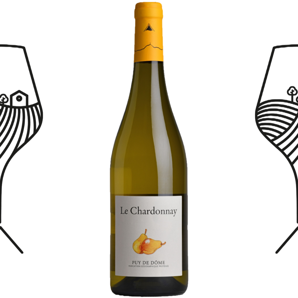 Vin Chardonnay : Caractéristiques du Chardonnay et des vins blancs