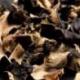 Champignons noirs séchés - Gamme classique