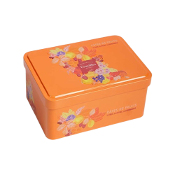 Mini Boite Collector Pâtes de Fruits 200gr